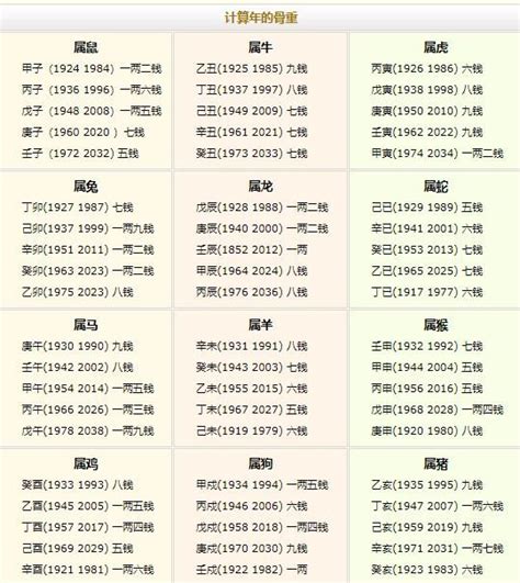 稱骨算命與生肖分析